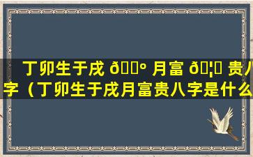 丁卯生于戌 🌺 月富 🦈 贵八字（丁卯生于戌月富贵八字是什么）